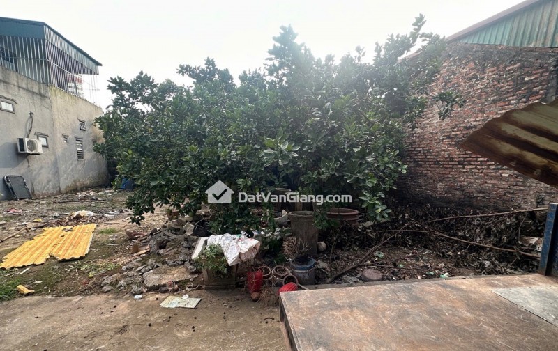 Bán Đất Phân Lô 76m² Đan Kim Văn Giang – Ô Tô Đỗ Cửa, Gần Vành Đai 3.5 Và Ecopark