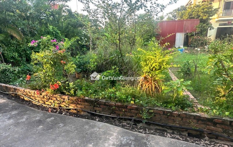 Bán 90m² Đất Quán Trạch Văn Giang – Ô Tô Đỗ Cửa, Full Thổ Cư, Vị Trí Đẹp