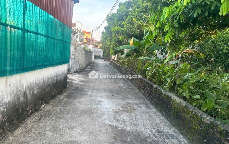 Bán 90m² Đất Quán Trạch Văn Giang – Ô Tô Đỗ Cửa, Full Thổ Cư, Vị Trí Đẹp