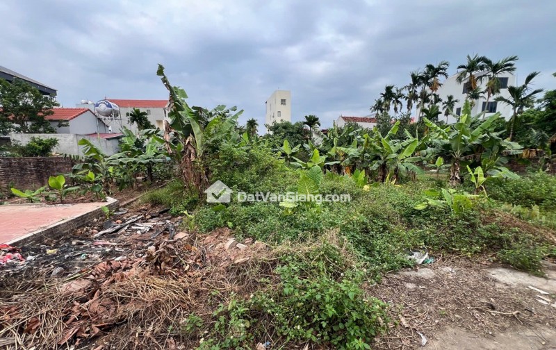 Bán 104m² Đất Đan Kim Văn Giang – Ô Tô 7 Chỗ Thông, Gần PVF Và Đại Học Bách Khoa