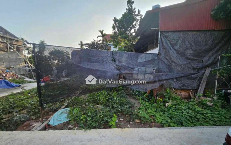 Bán Đất Đan Kim Văn Giang – 5 Lô Tài Chính từ hơn 1 tỷ, Ô Tô Vào Đất, Gần Vành Đai 3.5