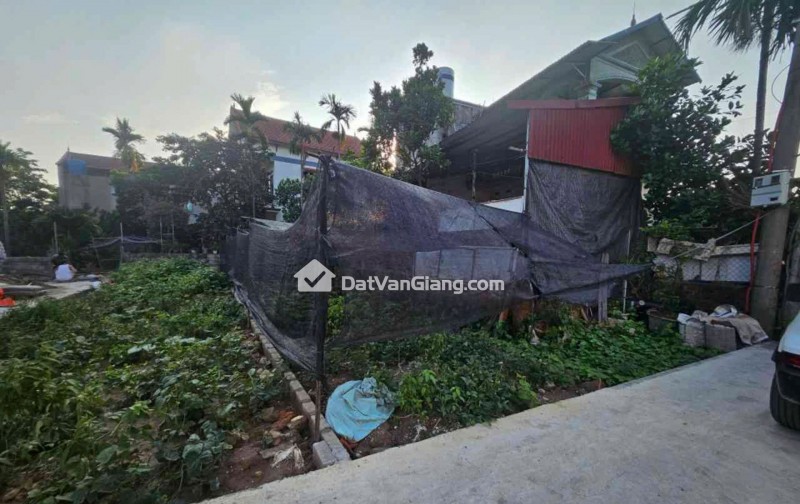 Bán Đất Đan Kim Văn Giang – 5 Lô Tài Chính từ hơn 1 tỷ, Ô Tô Vào Đất, Gần Vành Đai 3.5
