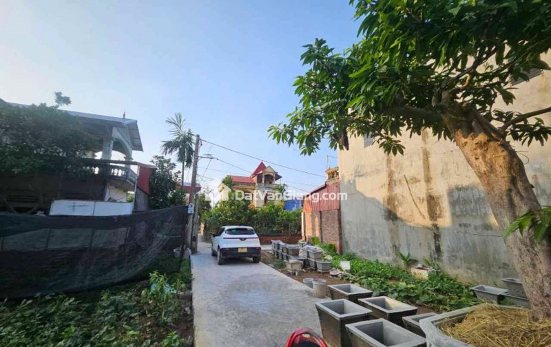 Bán Đất Đan Kim Văn Giang – 5 Lô Tài Chính từ hơn 1 tỷ, Ô Tô Vào Đất, Gần Vành Đai 3.5