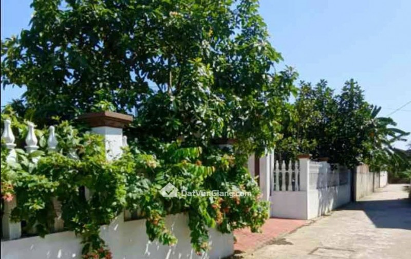 Bán Đất Thổ Cư 86m² Ấp Kim Ngưu, Văn Giang – Vị Trí Thuận Tiện, Sổ Đỏ Chính Chủ