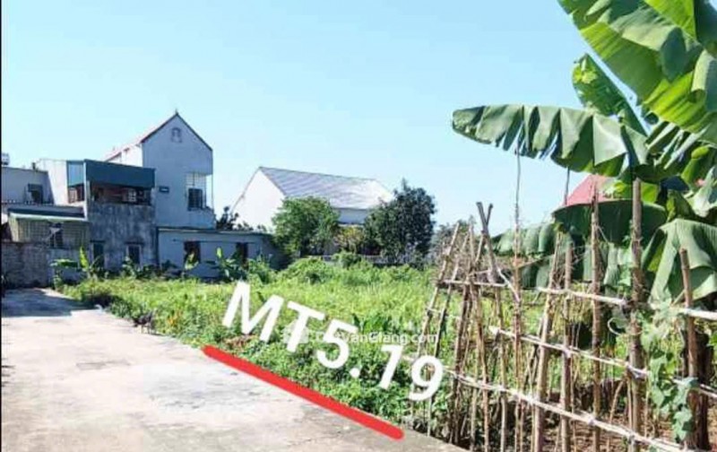 Bán Đất Thổ Cư 86m² Ấp Kim Ngưu, Văn Giang – Vị Trí Thuận Tiện, Sổ Đỏ Chính Chủ