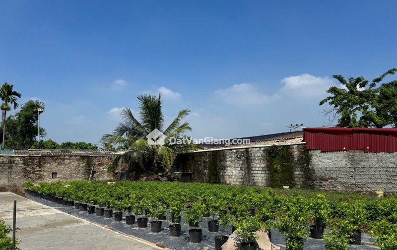 Bán 45m² Đất View Hồ Gần PVF Văn Giang – Đường Ô Tô, Giá F0 Đầu Tư