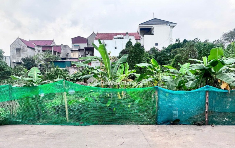 Bán Đất Đấu Giá 200m² Lê Cao Nghĩa Trụ – Mặt Tiền 9,5m, Sát Vin, Gần Vành Đai 3.5