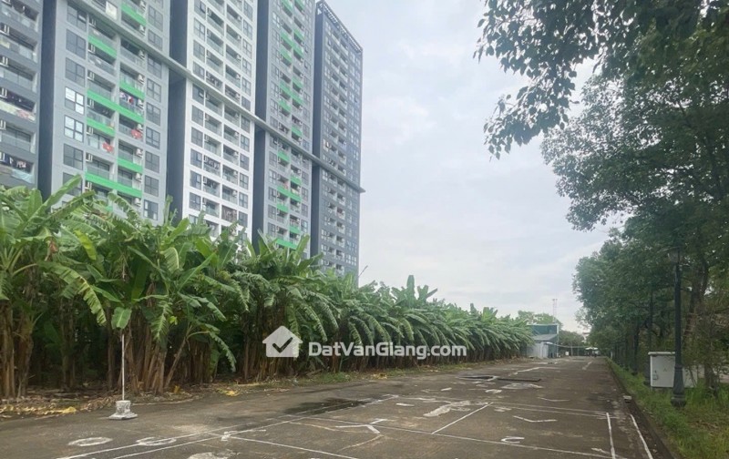 Bán Đất Phân Lô Dịch Vụ 97m² Cửu Cao Văn Giang – Hai Mặt Thoáng, Gần Trust City