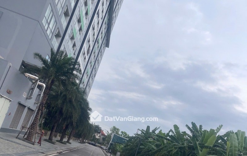 Bán Đất Phân Lô Dịch Vụ 97m² Cửu Cao Văn Giang – Hai Mặt Thoáng, Gần Trust City