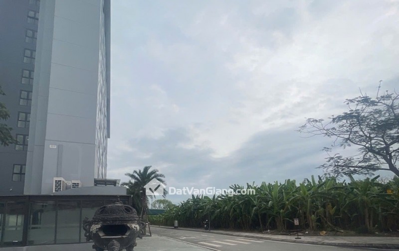 Bán Đất Phân Lô Dịch Vụ 97m² Cửu Cao Văn Giang – Hai Mặt Thoáng, Gần Trust City