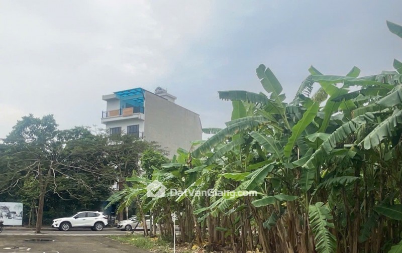 Bán Đất Phân Lô Dịch Vụ 97m² Cửu Cao Văn Giang – Hai Mặt Thoáng, Gần Trust City