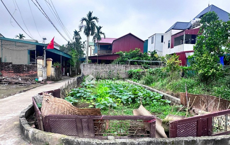 Bán Đất Lô 85,3m² Vĩnh Tuy Văn Giang – Lô Góc 3 Mặt Tiền, Gần Sunshine Và Vin Ocean Park 2