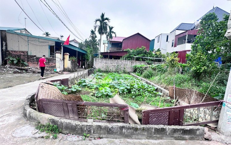 Bán Đất Lô 85,3m² Vĩnh Tuy Văn Giang – Lô Góc 3 Mặt Tiền, Gần Sunshine Và Vin Ocean Park 2