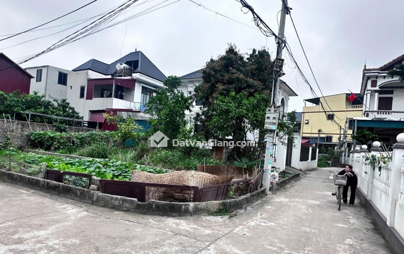 Bán Đất Lô 85,3m² Vĩnh Tuy Văn Giang – Lô Góc 3 Mặt Tiền, Gần Sunshine Và Vin Ocean Park 2