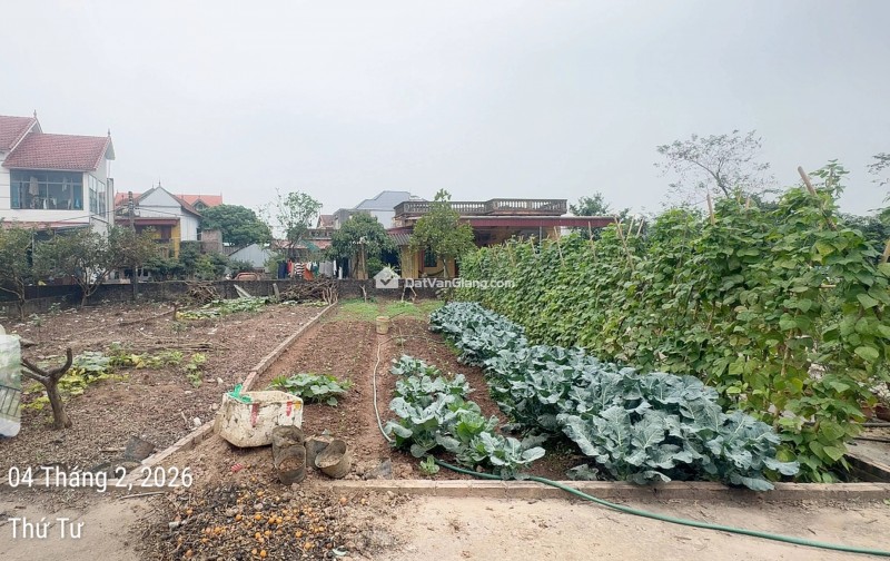 Bán Siêu Phẩm Đất 91m2 Full Thổ Cư Mặt Tiền 5m Kề Cận Ecopark Giá 3,46 Tỷ