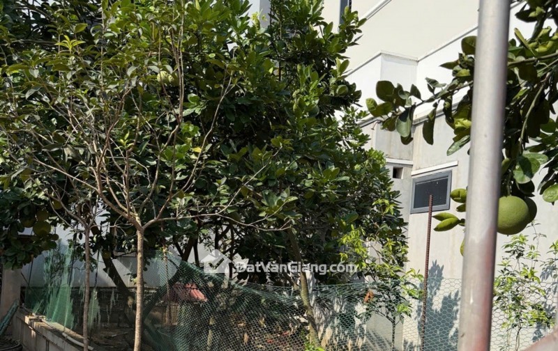 Bán 80m² Đất Nghĩa Trụ Văn Giang – Nở Hậu, Ô Tô Vào Đất, Gần Ocean Park Và Sunshine Legend