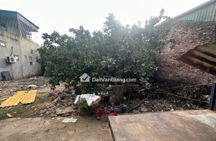 BÁN ĐẤT HOA KHÔI ĐAN KIM NGÕ NÔNG Ô TÔ VÀO TẬN ĐẤT