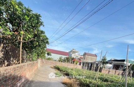 Bán đất Đông Tảo - Khoái Châu - Hưng Yên , đường thông , oto vào đất