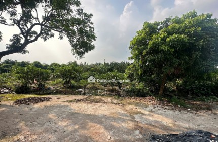 Đất bán 81.9m² MT 6m giá đầu tư Thôn Kim Ngưu Xã Tân Tiến gần ĐH Bách Khoa