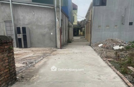 Siêu phẩm đông tảo hoàn Long