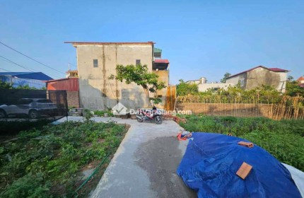 Bán Đất Đan Kim Văn Giang – 5 Lô Tài Chính từ hơn 1 tỷ, Ô Tô Vào Đất, Gần Vành Đai 3.5