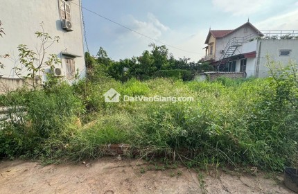 Bán 44,6m² Đất Quán Trạch Văn Giang – Nở Hậu, Ô Tô Đỗ Cửa, Tiềm Năng Tăng Giá Cao