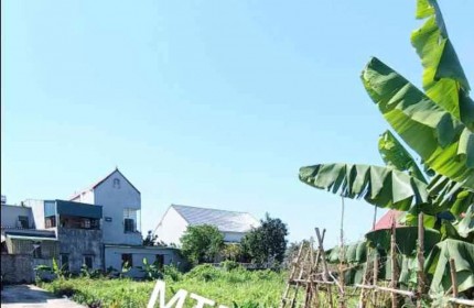 Bán Đất Thổ Cư 86m² Ấp Kim Ngưu, Văn Giang – Vị Trí Thuận Tiện, Sổ Đỏ Chính Chủ