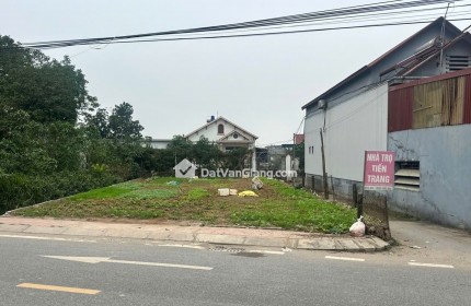Bán Đất 244,7m² Đa Phúc Văn Giang – Lô Góc Mặt Đường 377, Kinh Doanh Đỉnh Cao