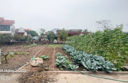 Bán Siêu Phẩm Đất 91m2 Full Thổ Cư Mặt Tiền 5m Kề Cận Ecopark Giá 3,46 Tỷ