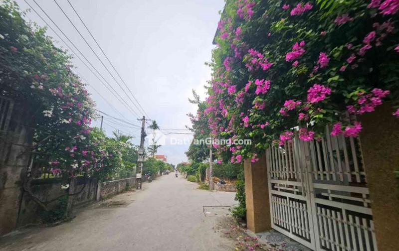 Bán đất 68m2 -Đông Tảo - Khoái Châu- Hưng Yên, nở hậu , oto đỗ cửa