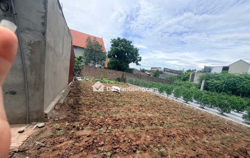 Bán đất Đông Tảo -Khoái Châu -Hưng Yên , nở hậu