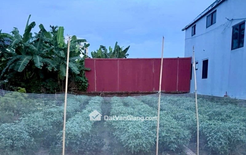 LÔ HIẾM VĂN GIANG MẶT NGÕ Ô TÔ TRÁNH NHAU GIÁ ĐẦU TƯ