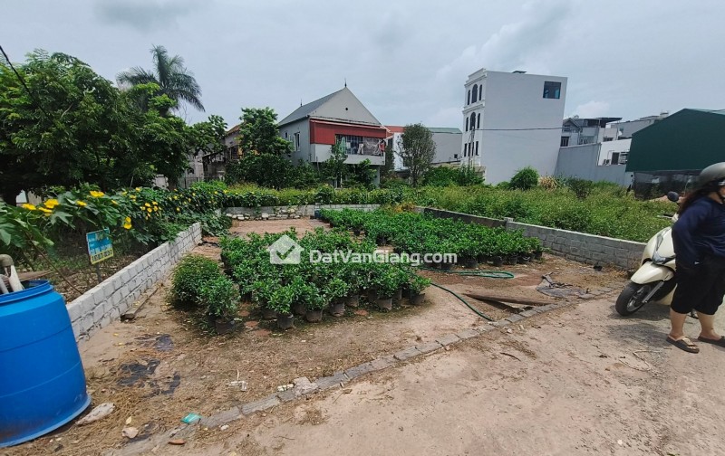 128,5m² văn giang – ô tô tải tránh – 72,4tr/m² | vừa khai thác, vừa đón sóng tăng giá