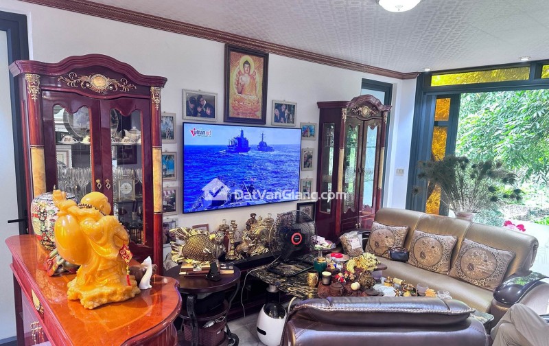 đông tảo hoàng long