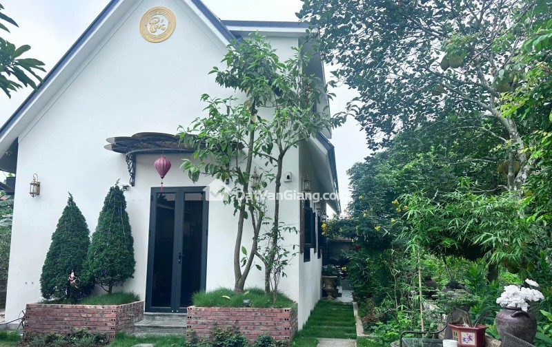 đông tảo hoàng long