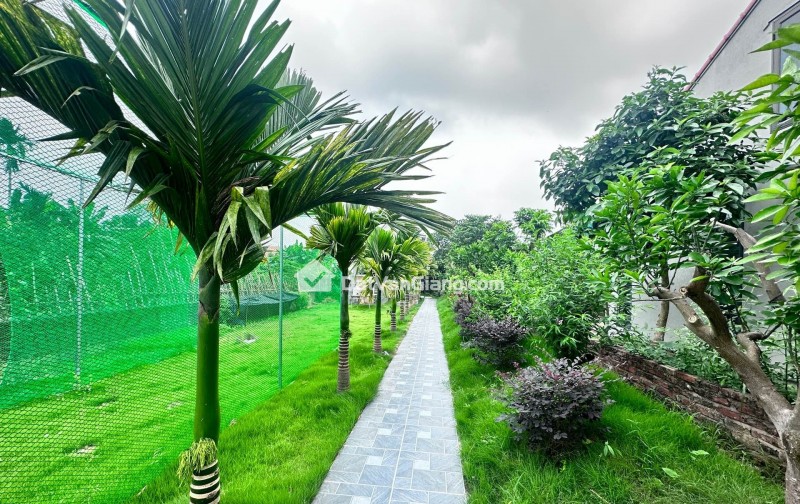 đông tảo hoàng long