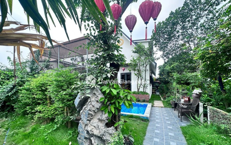 đông tảo hoàng long