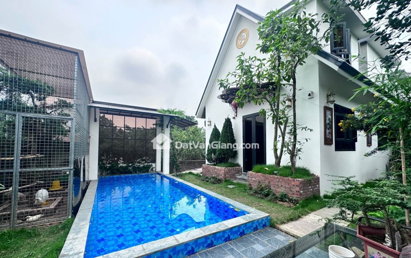đông tảo hoàng long