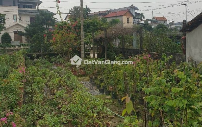  **phụng công – văn giang | giáp ecopark – mt 6,2m – 2 ô tô tránh**