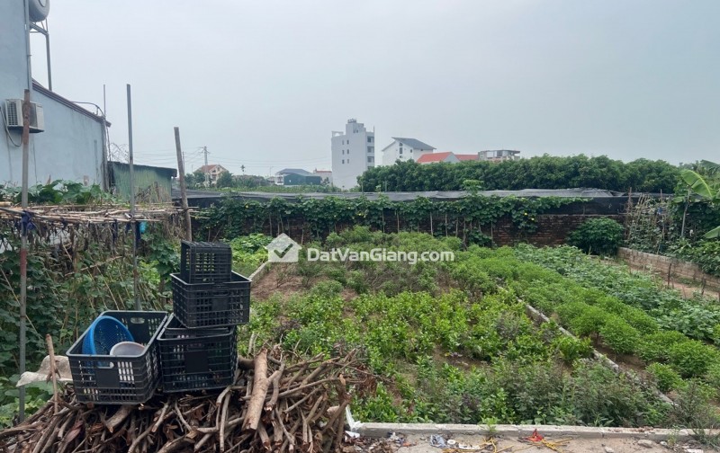  đan kim – văn giang | 72,5m² – mt 5m – 2 ô tô tránh – giá nhỉnh 3,5 tỷ