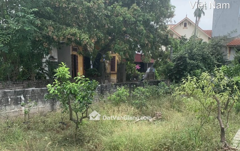 lô góc 2 mặt thoáng đường ô tô đẹp văn giang - giá đầu tư 