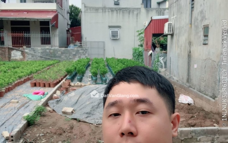 thanh lý gấp  162m mễ sở  - đường thông apphan  ô tô đỗ cửa