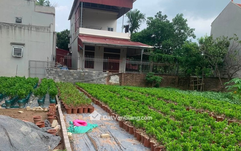 thanh lý gấp  162m mễ sở  - đường thông apphan  ô tô đỗ cửa