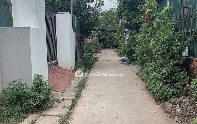  CHÍNH CHỦ CẦN CHUYỂN NHƯỢNG ĐẤT Ở THÔN HÒA BÌNH - XÃ VĂN GIANG - TỈNH HƯNG YÊN