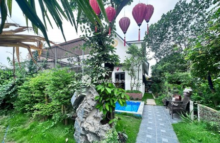đông tảo hoàng long