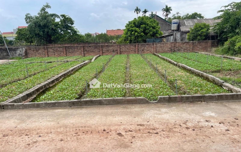 bán đất đông tảo- giá 1ty8xx- cơ hội chỉ đến 1 lần không có lần thứ 2