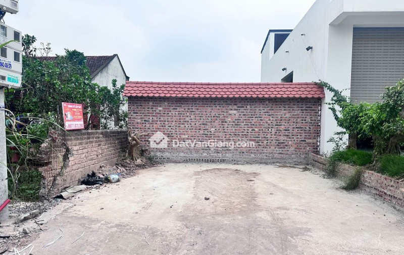 đông tảo hoàng long hưng yên