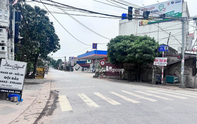 đông tảo hoàng long hưng yên
