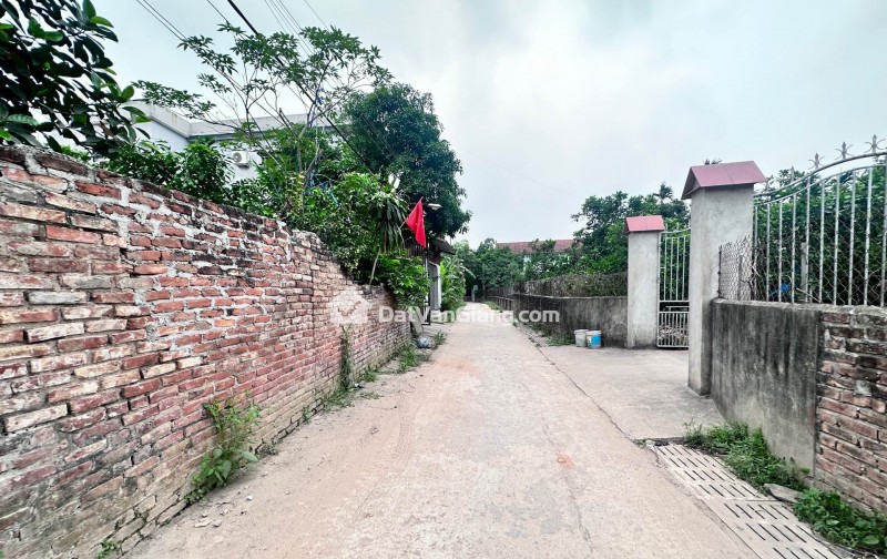 đông tảo hoàng long hưng yên