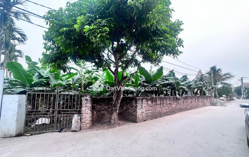 đông tảo hoàng long hưng yên